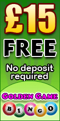 Free Bingo Games